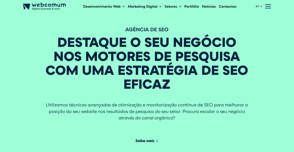 Webcomum Seo